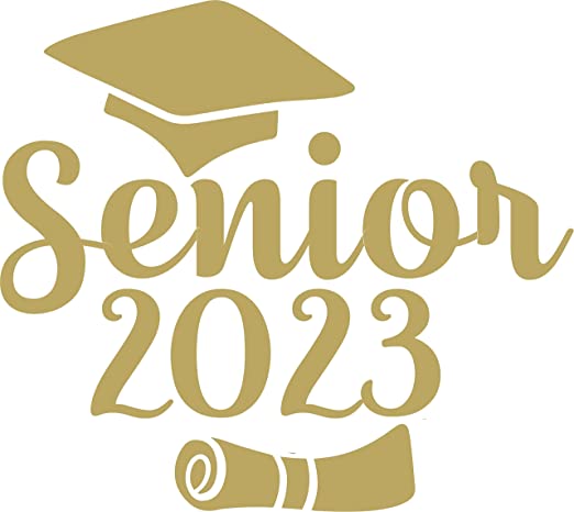 SEC Apparel Senior 2025 Graduate Iron On Transfers Decals Patches Vinyl for T Shirts Fabric Clothing