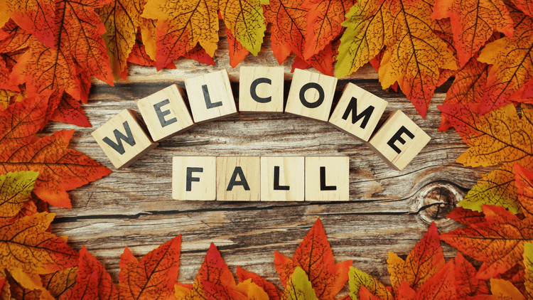 Fall Shirts - secapparelonline