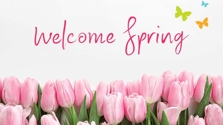 Spring Mugs - secapparelonline