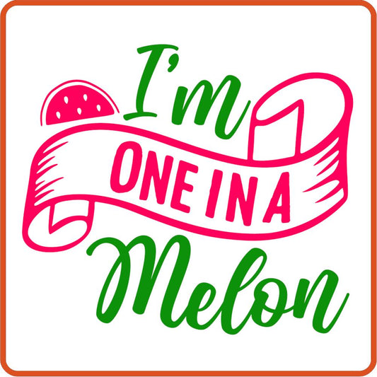 One In a Melon | Summer Iron On Decal by SEC Apparel for Shirts, Clothing and More