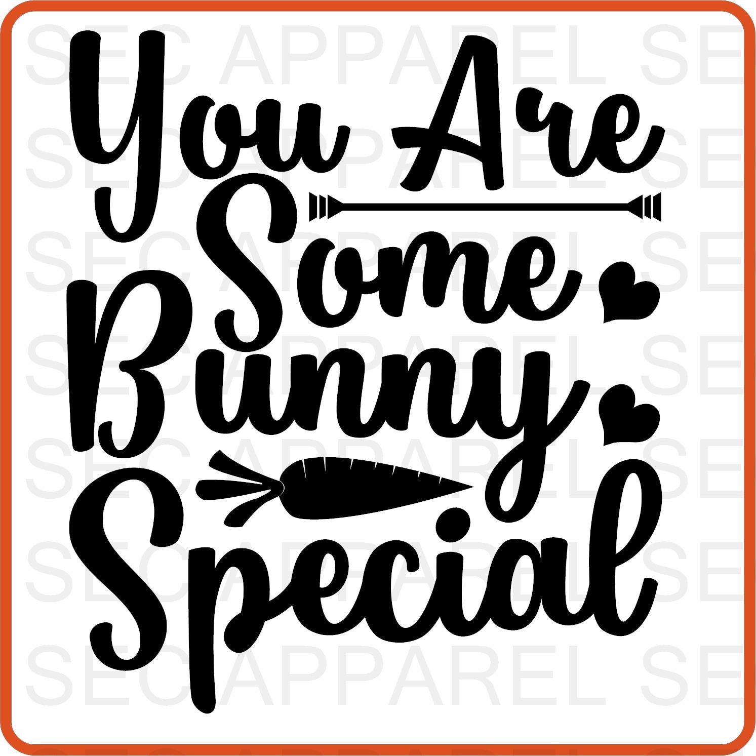 Easter Iron On Decals Patches transfers vinyl for shirts, clothing | You Are Some Bunny Special - secapparelonline