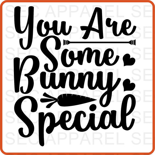 Easter Iron On Decals Patches transfers vinyl for shirts, clothing | You Are Some Bunny Special - secapparelonline