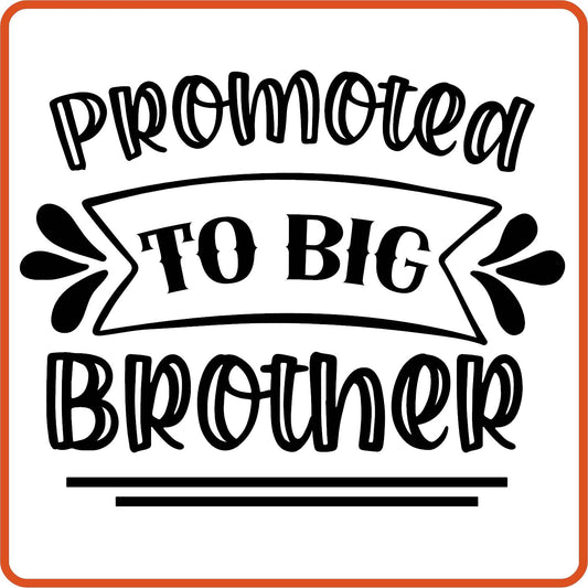 Promoted to Big Brother | Family Iron On Decals Patches by SEC Apparel