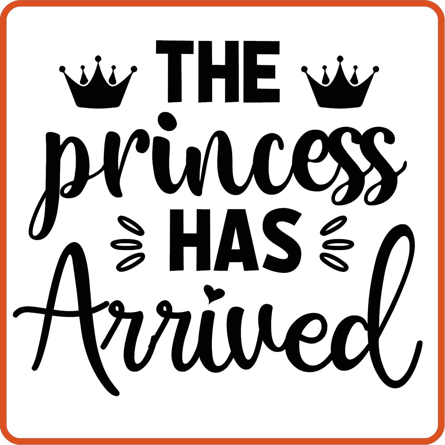 The Princess Has Arrived | New Baby Iron On Decal Patches by SEC Apparel