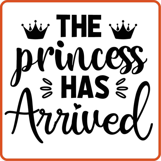 The Princess Has Arrived | New Baby Iron On Decal Patches by SEC Apparel