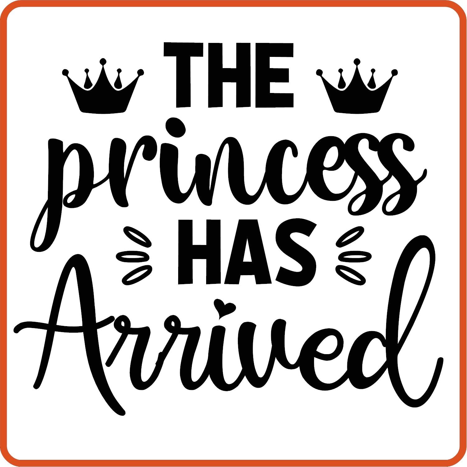 The Princess Has Arrived | New Baby Iron On Decal Patches by SEC Apparel - secapparelonline