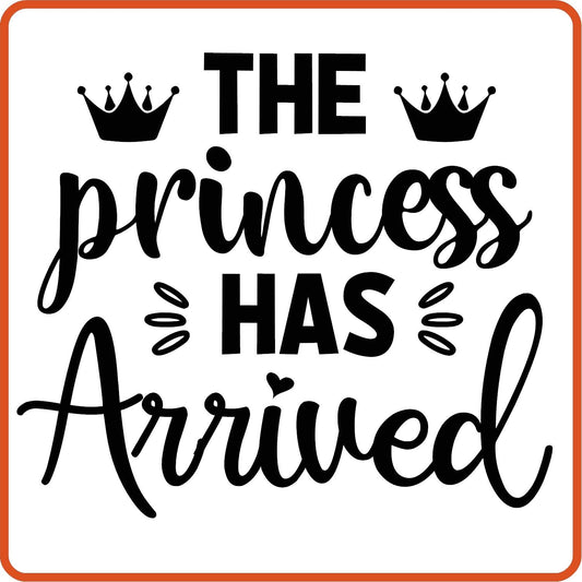 The Princess Has Arrived | New Baby Iron On Decal Patches by SEC Apparel - secapparelonline